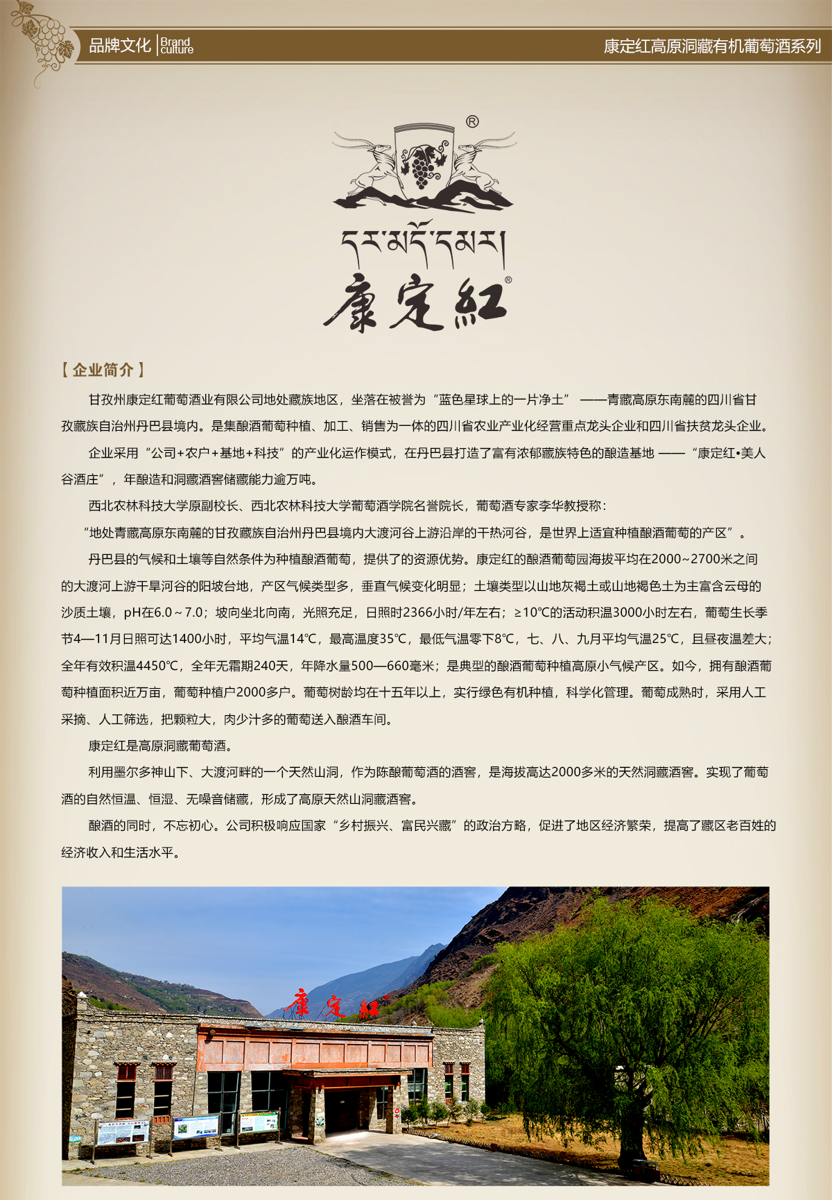 详情页1.jpg